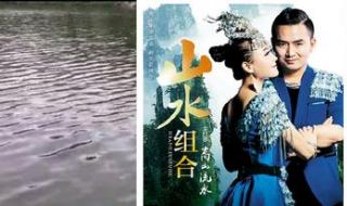 你莫走我不走是什么歌