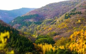 忽有故人回首山河已秋怎么回复 人间忽晚山河已秋意思